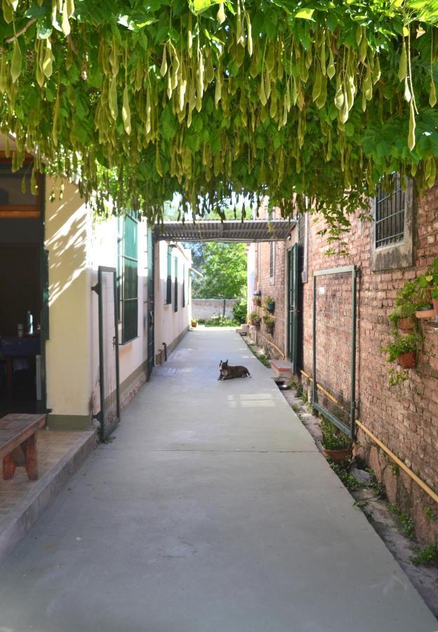 Garden Atelier Apartment *