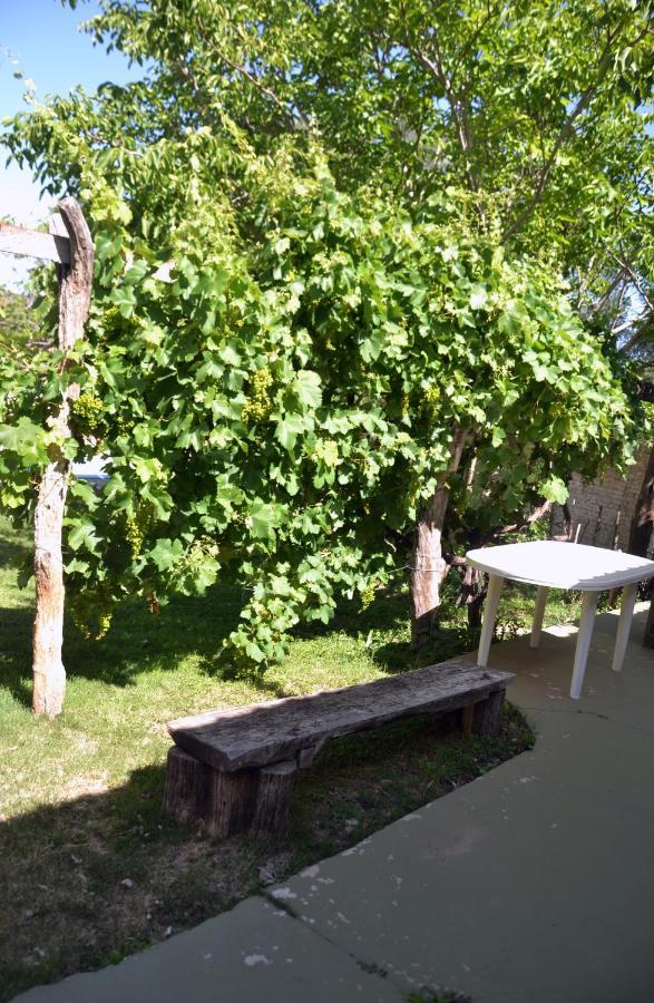 Garden Atelier Apartment
